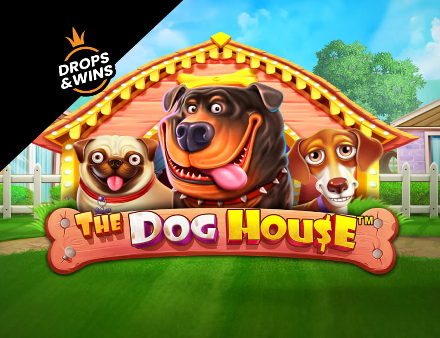 the-dog-house